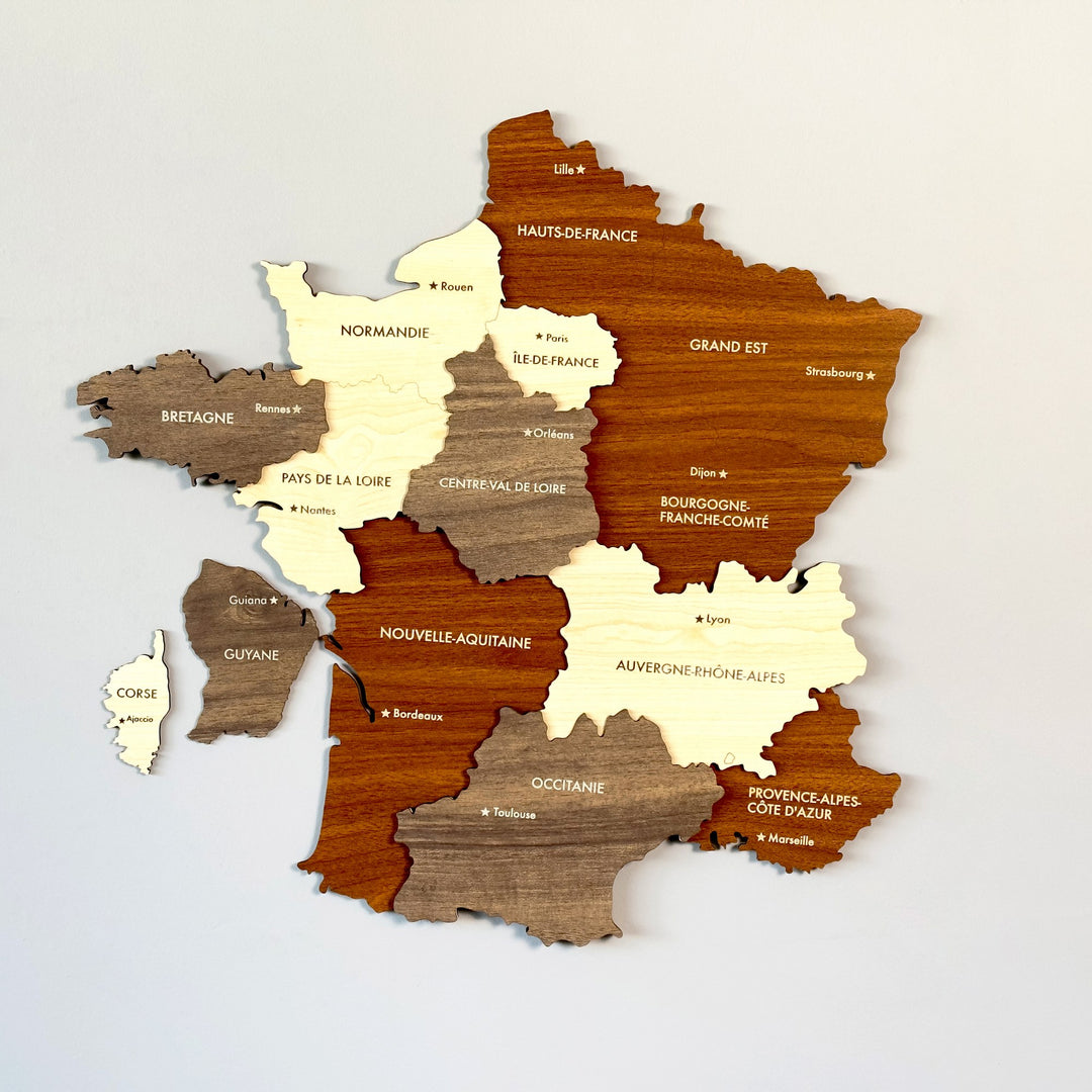 fransa-ahsap-duvar-haritasi-ahsap-duvar-dekoru-3d-ve-cok-renkli-duvar-icin-sanatsal-tasarim-colorfullworldstr