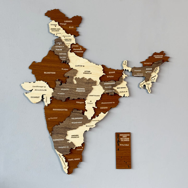 hindistan-ahsap-duvar-haritasi-ahsap-duvar-dekoru-3d-ve-cok-renkli-el-ile-detaylandirilmis-tasarim-colorfullworldstr