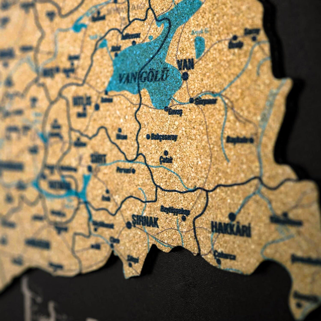 Kişiye Özel Mantar Türkiye Haritası - UV Baskılı Çerçeveli Tablo