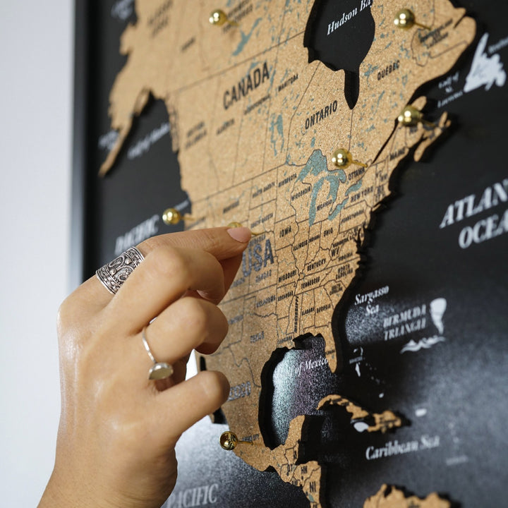 3 Parça Mantar Pano Dünya Haritası - Çerçeveli Siyah Duvar Dekoru